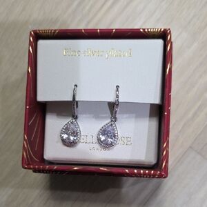 Elegant Silver Plated Drop Earrings